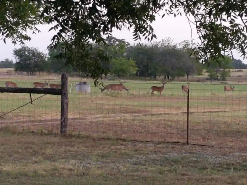 10905 S. FM 1915 Fm 1915 Highway, Buckholts, TX 76518 - #1