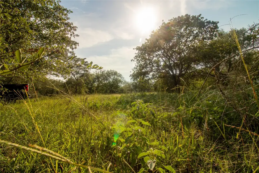 437 Firefly Field Ln, Seguin, TX 78155 - Image #3