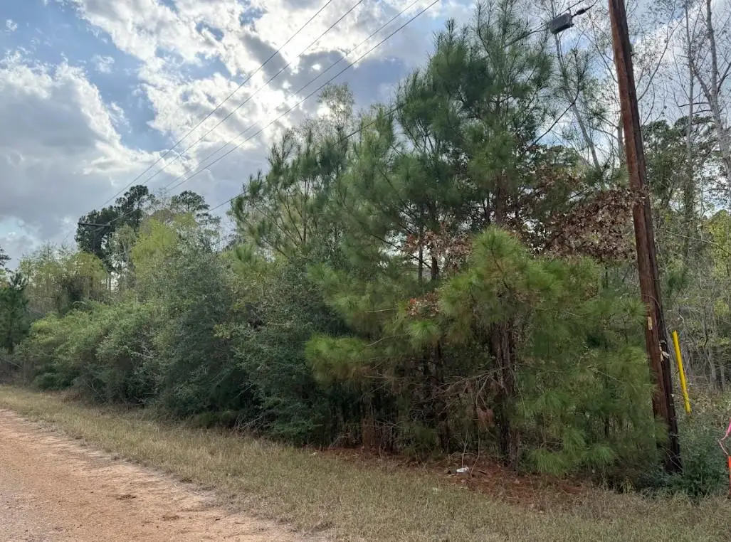 Lot 233 Makaha Dr, Bastrop, TX 78602 - #1