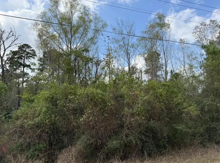Lot 233 Makaha Dr, Bastrop, TX 78602 - #3