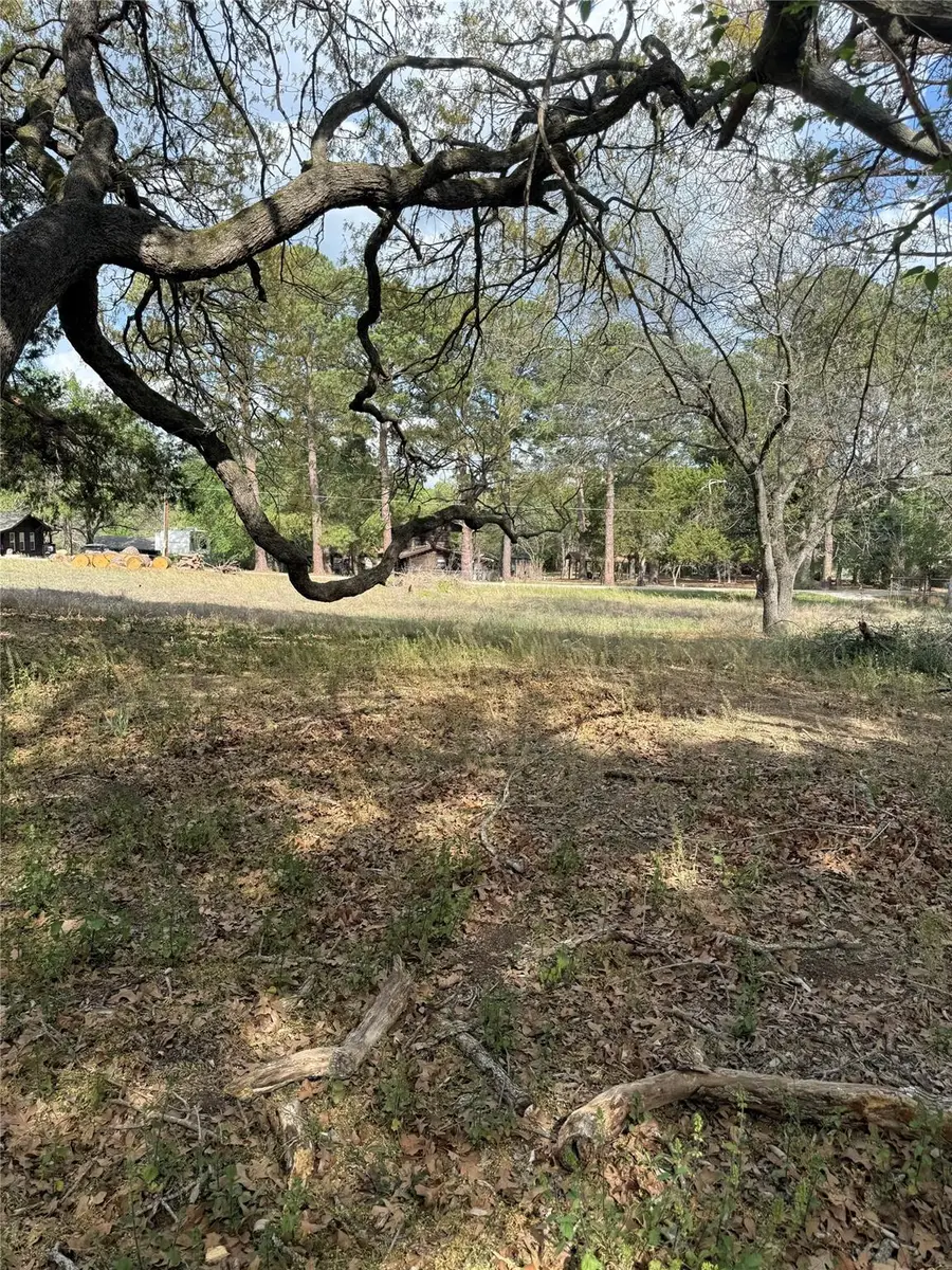 Lots 141 & 142 Pine Song, Bastrop, TX 78602 - #3