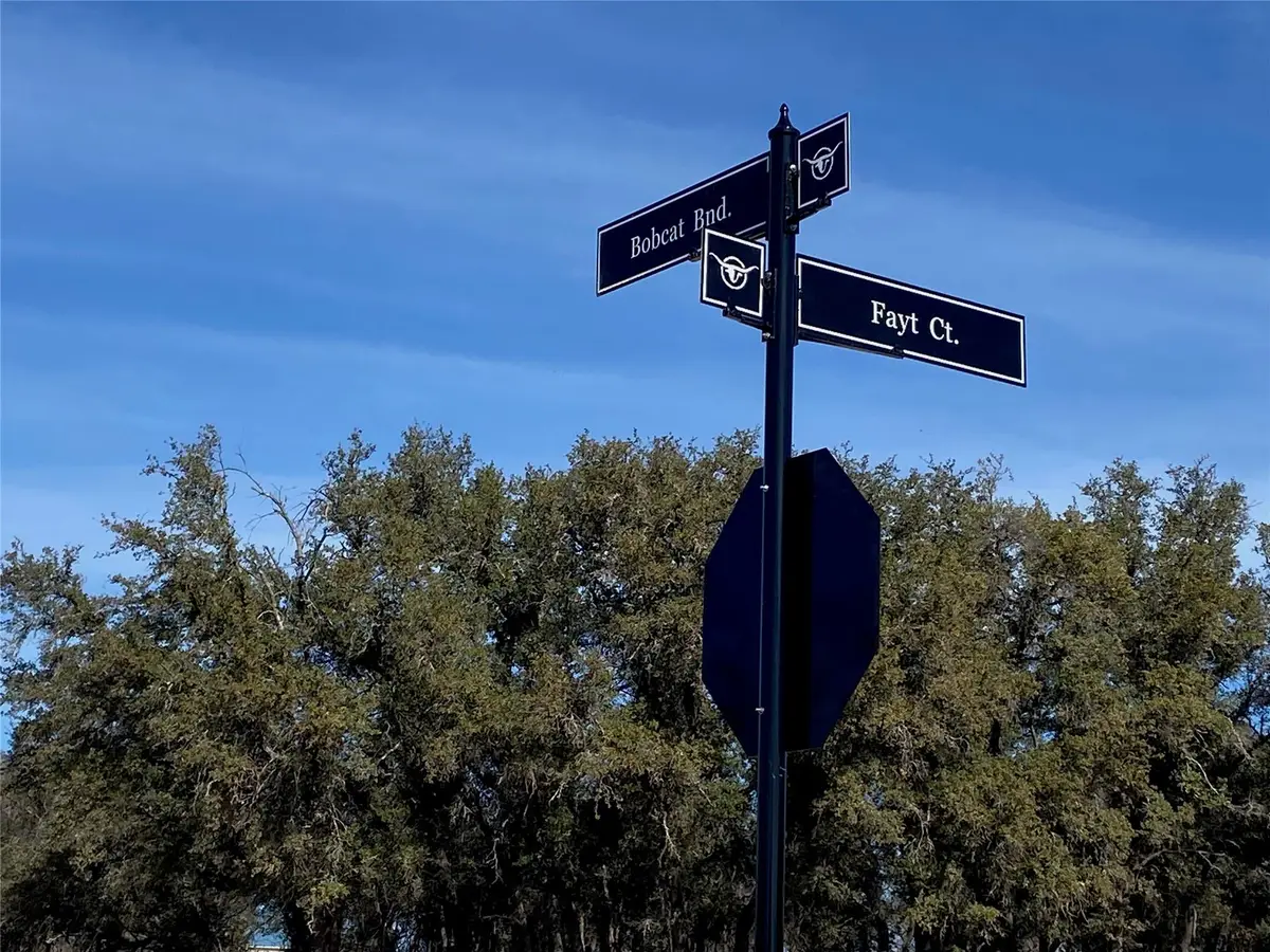 TBD Fayt Ct, Georgetown, TX 78628 - Image #1