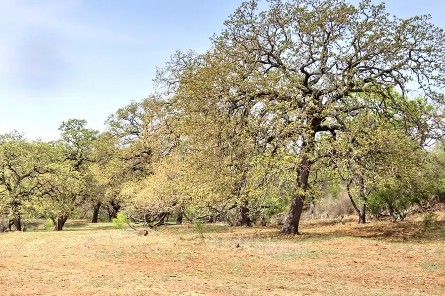 TBD County Road 110 Rd, Burnet, TX 78611 - Image #2