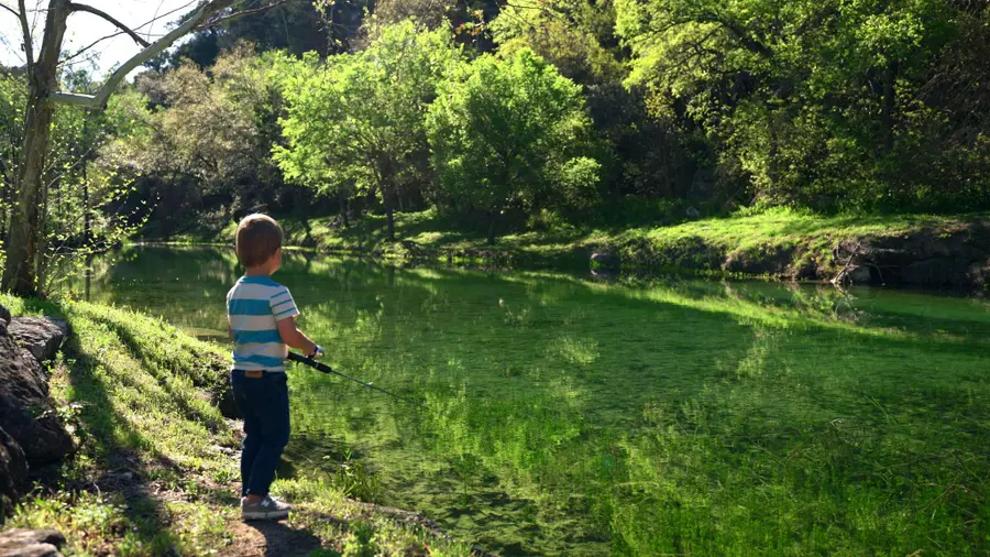 11949 Overlook Pass, Austin, TX 78738 - Image #2