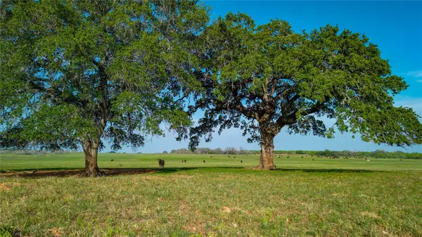TBD County Road 404, Floresville, TX 78114