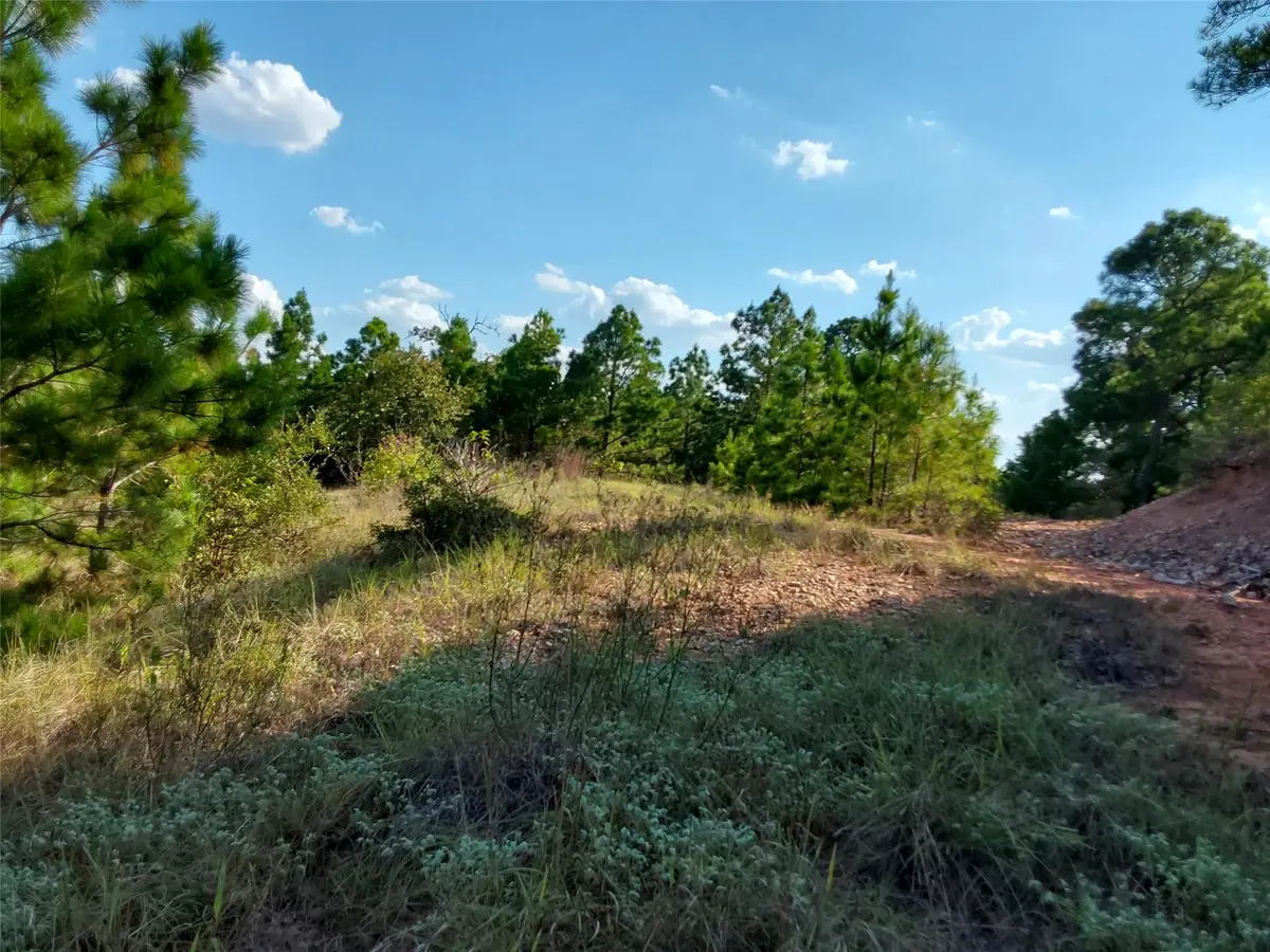 909 Hana Court St, Bastrop, TX 78602 - #1