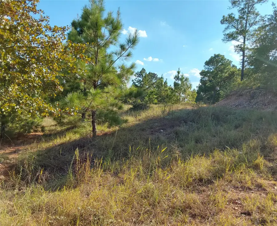 909 Hana Court St, Bastrop, TX 78602 - #2