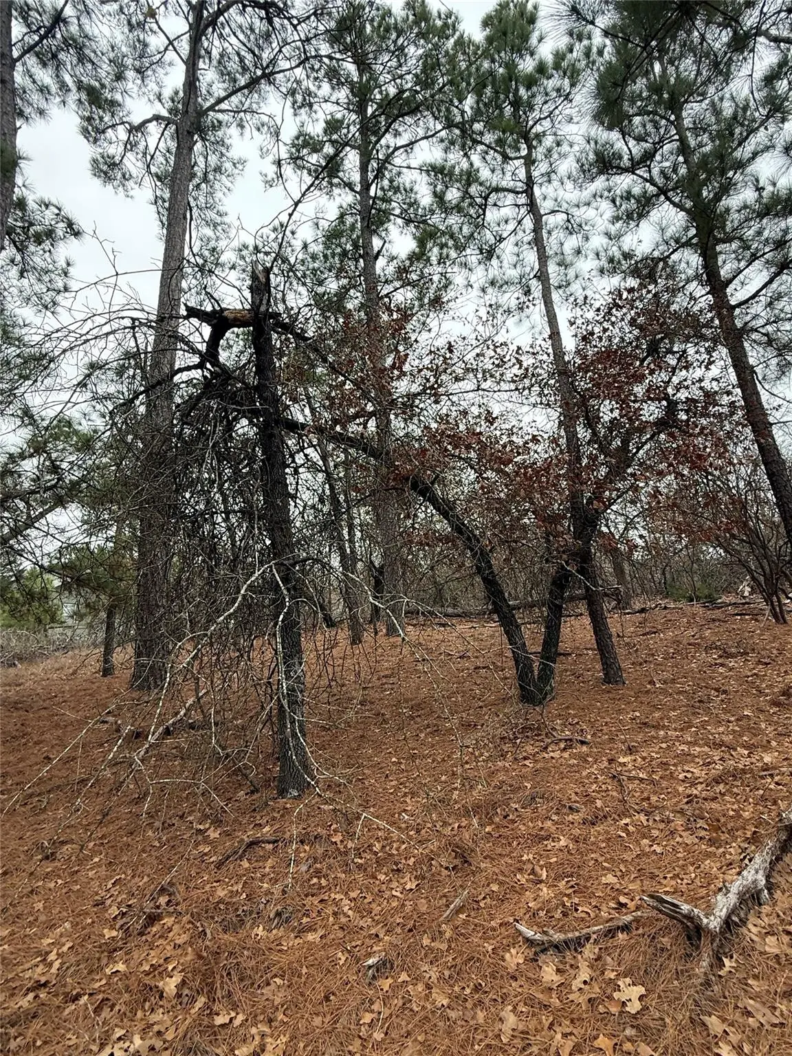 105 Waialua Ct, Bastrop, TX 78602 - Image #1