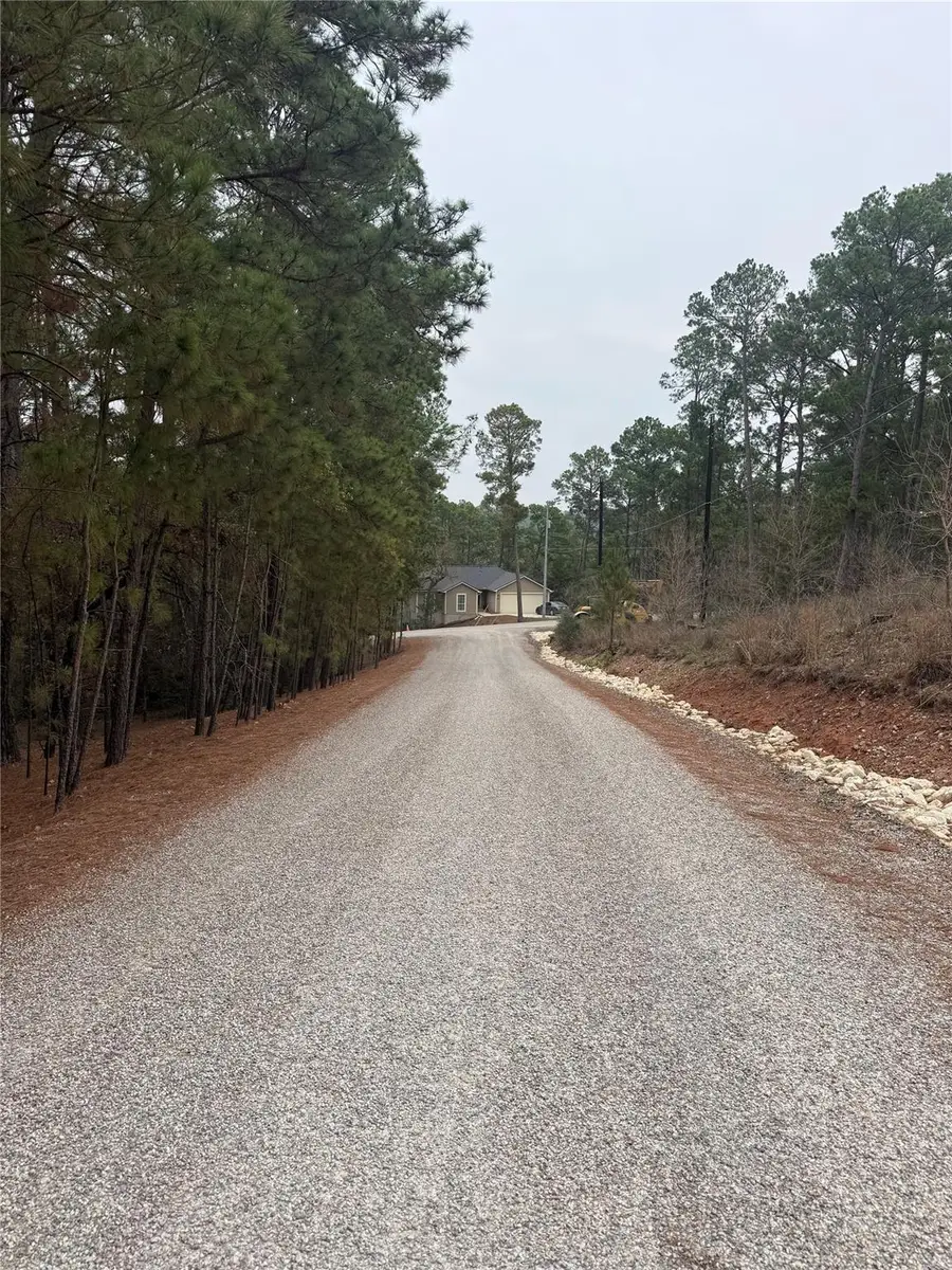 105 Waialua Ct, Bastrop, TX 78602 - Image #3