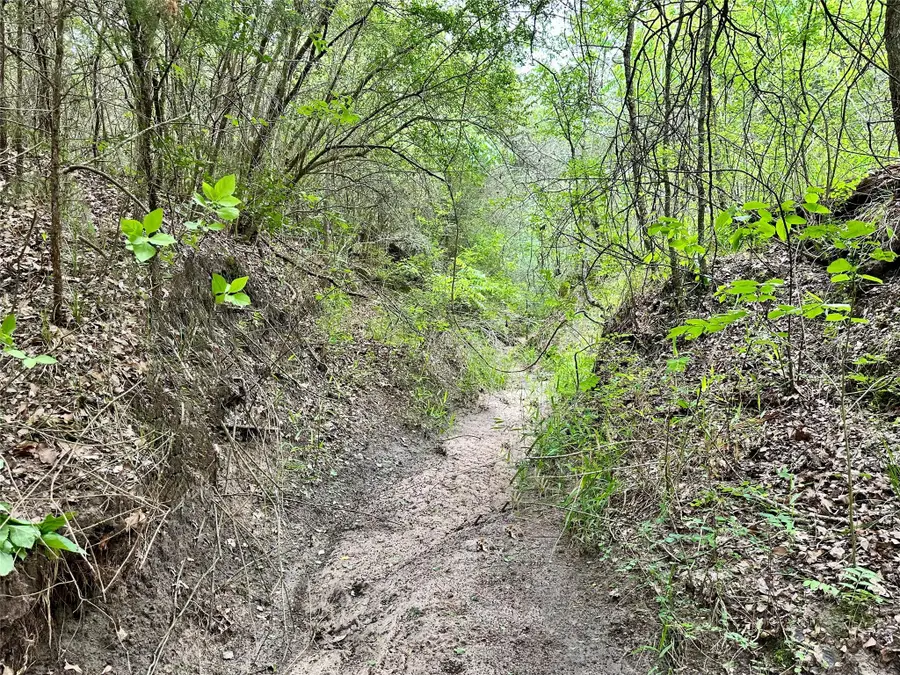 00 Quarry Rd, Brenham, TX 77833 - Image #2