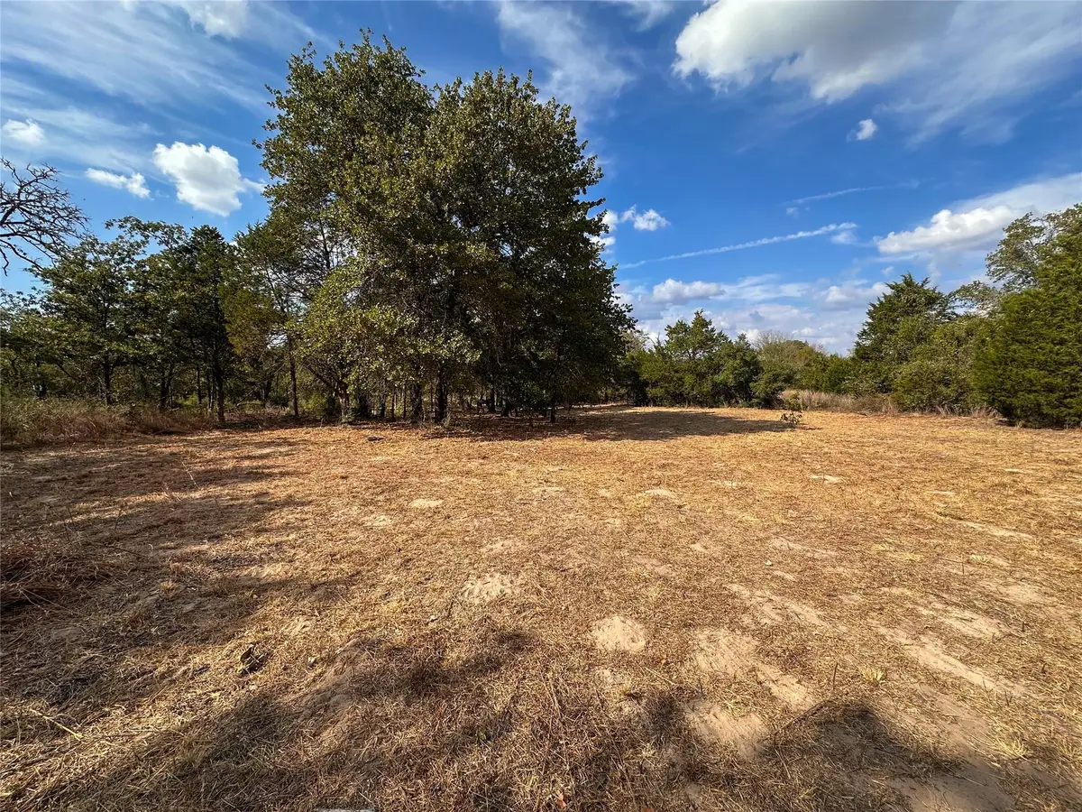 TBD Walter Hoffman Rd, Bastrop, TX 78602 - Image #1
