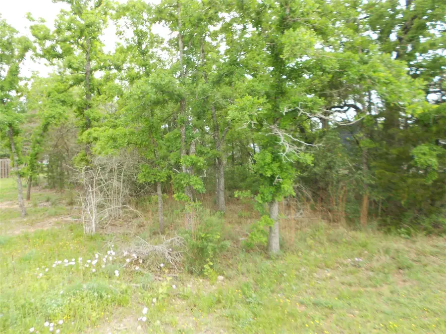 441 Tom Tom, Smithville, TX 78957 - Image #2