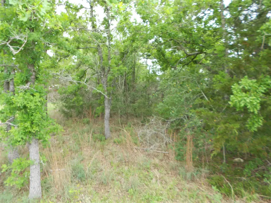 441 Tom Tom, Smithville, TX 78957 - Image #3