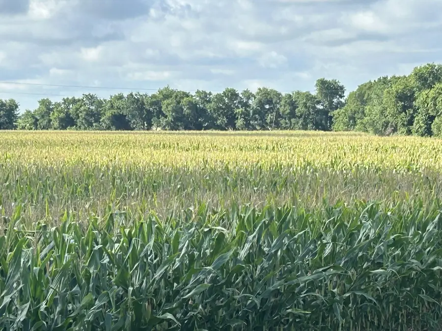 TBD2 Apple Cider Rd, Temple, TX 76501 - Image #3