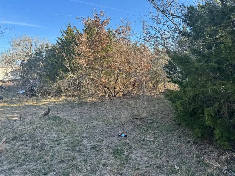 8405 Taylorsville Rd, Dale, TX 78616 - #3