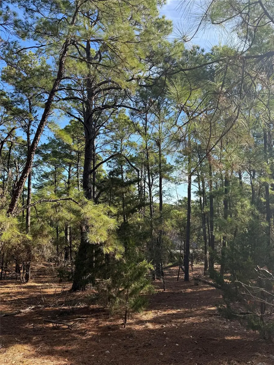 106 Llio Ct, Bastrop, TX 78602 - Image #3