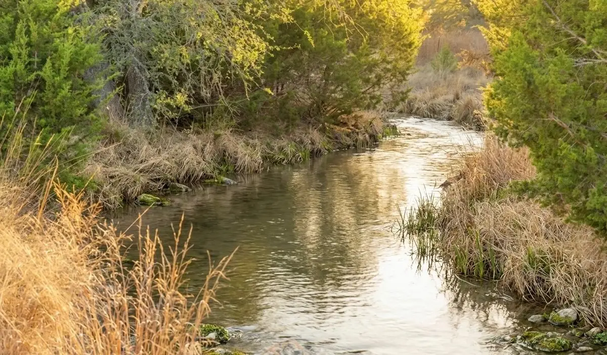 2227 Klein-ahrens Rd, Fredericksburg, TX 78624 - #1