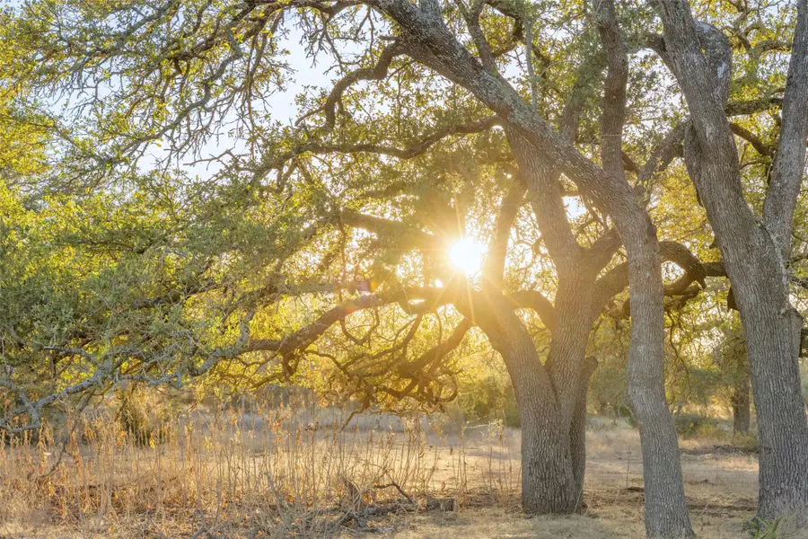 2227 Klein-ahrens Rd, Fredericksburg, TX 78624 - #2