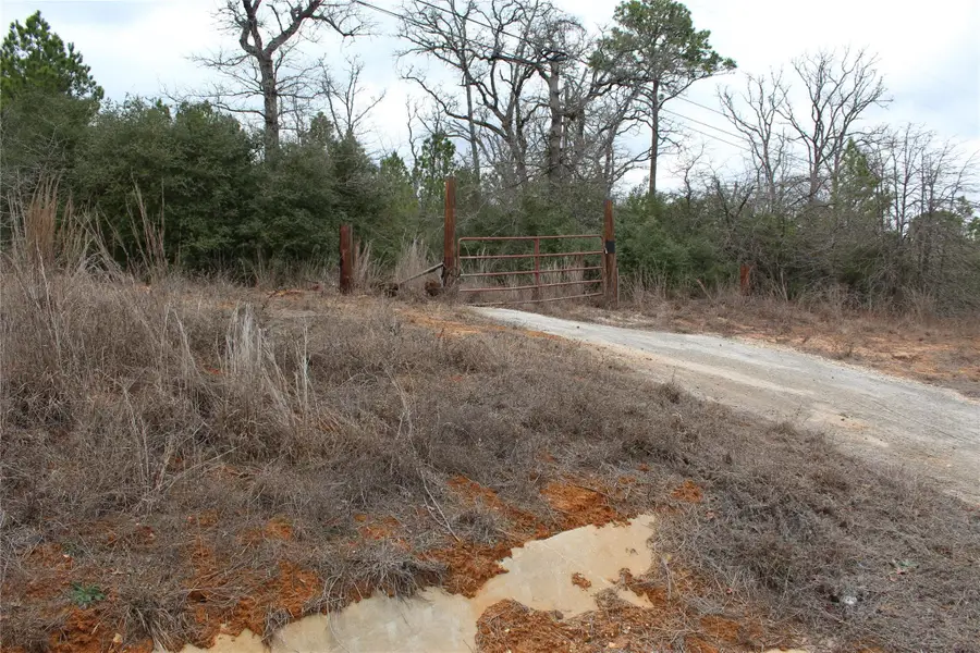 736 Highway 21 Highway E, Bastrop, TX 78602 - Image #2