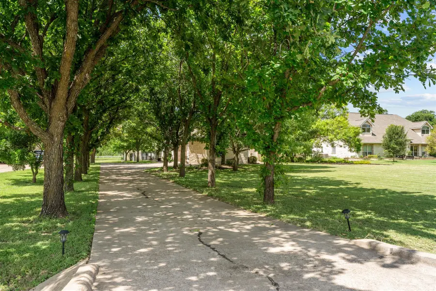 186 Brushy Creek Trl, Hutto, TX 78634 - #3