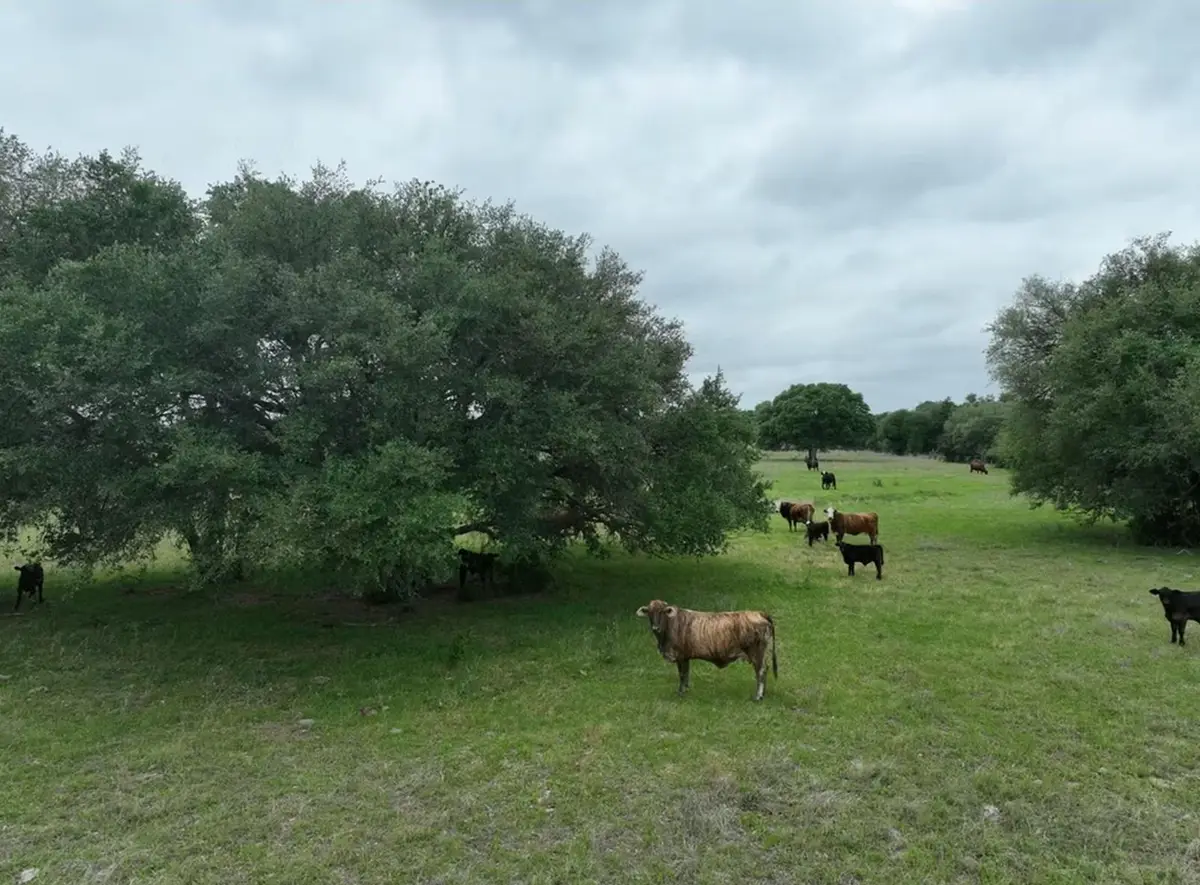 TBD Lot 2 County Road 127 Rd, Ledbetter, TX 78946 - #1