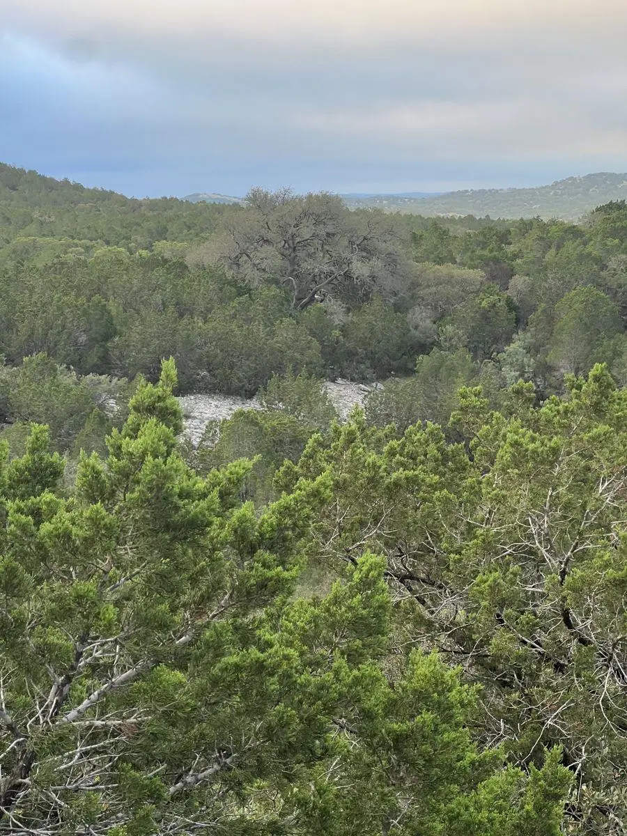 TBD County Road 635, Rocksprings, TX 78880 - #3