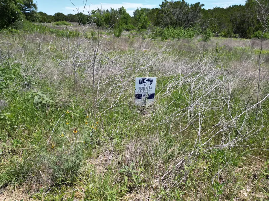 Lot 41 Serenity Dr, Bertram, TX 78605 - Image #3