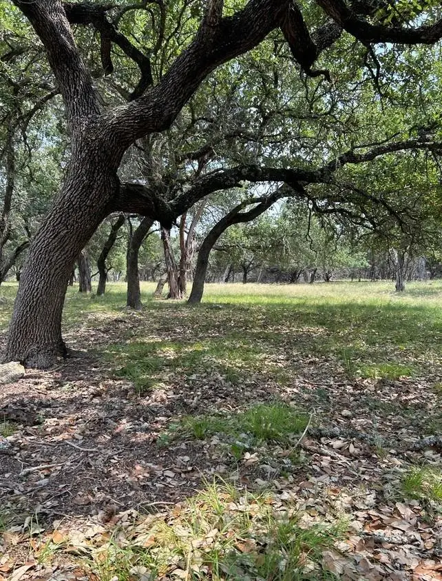 TBD Old Red Ranch Rd, Dripping Springs, TX 78620 - #3