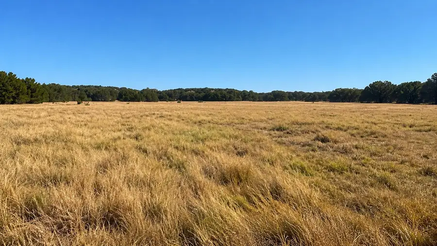 0 County Road 2659, Lometa, TX 76853 - #2