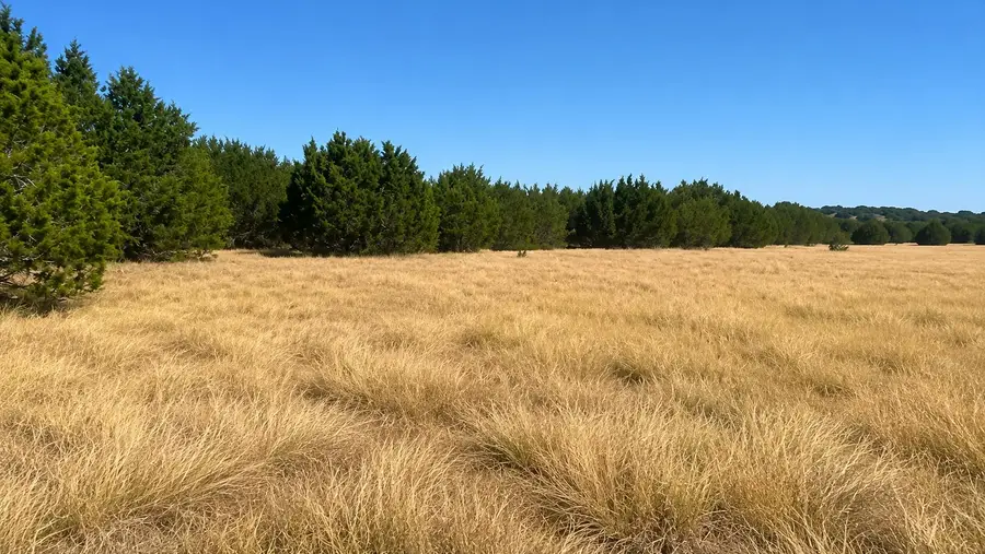 0 County Road 2659, Lometa, TX 76853 - #3