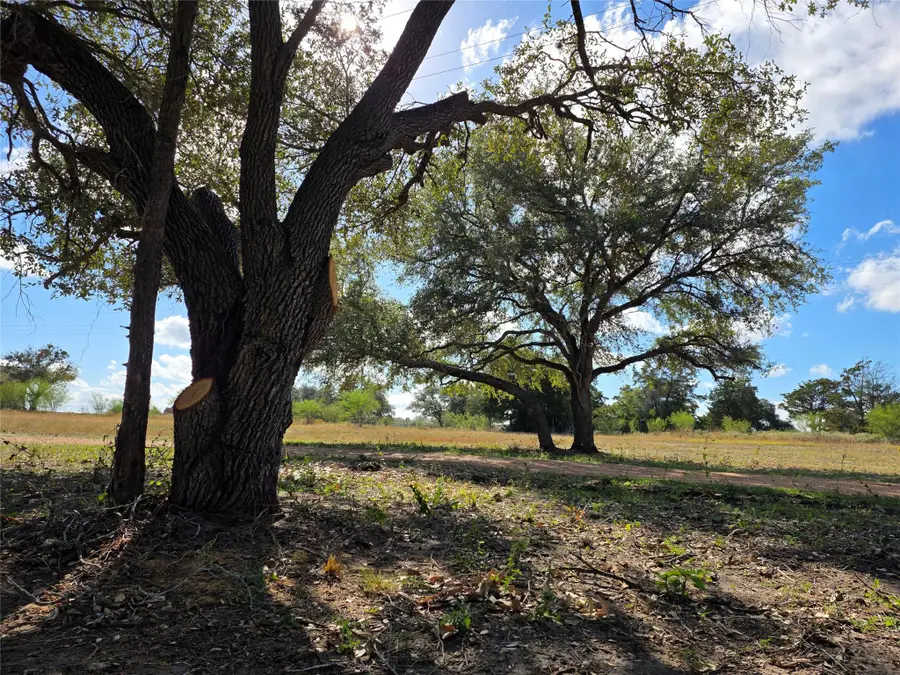 1109 E Old Hallettsville Rd, Flatonia, TX 78941 - Image #3