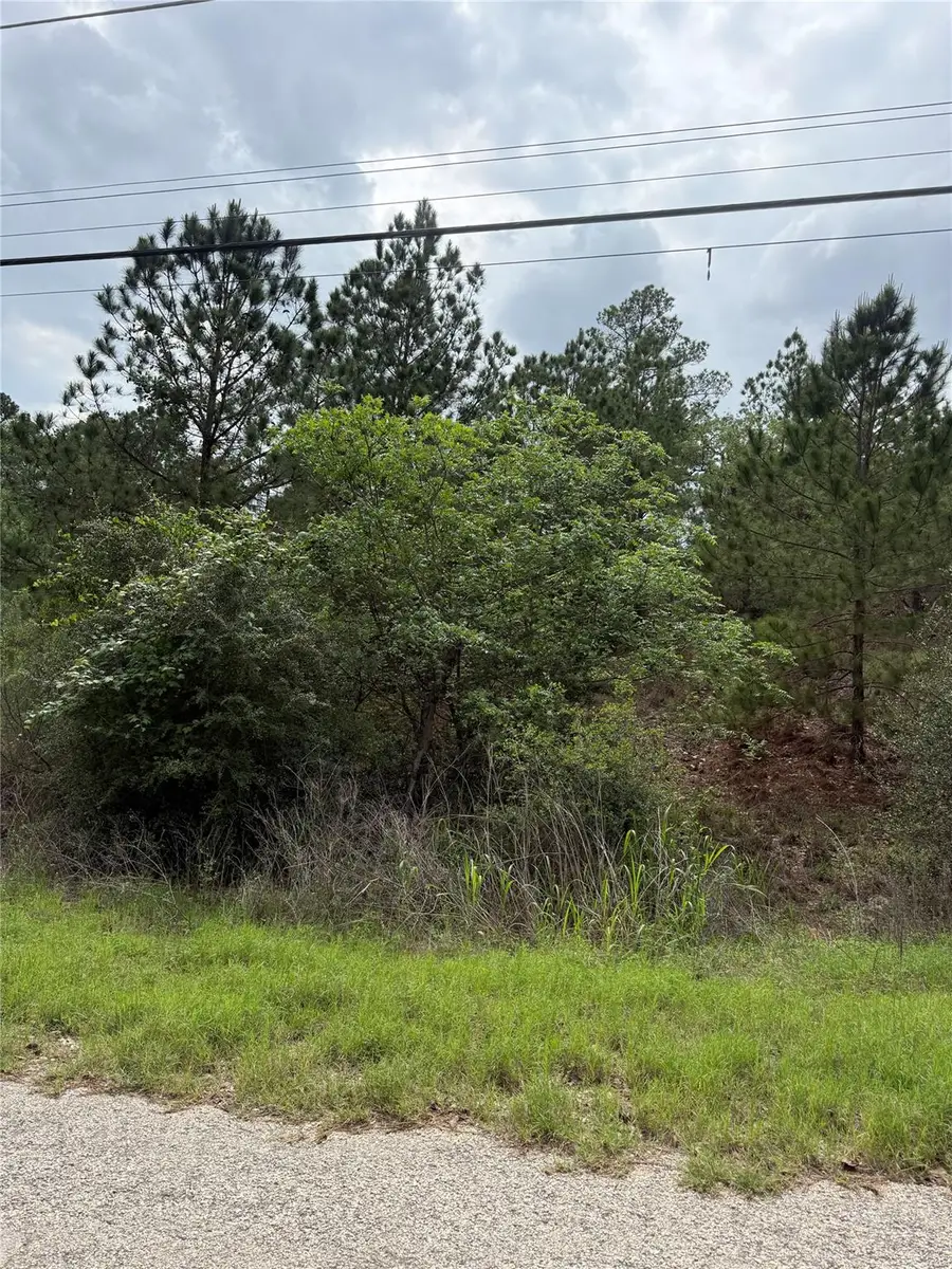 Lot 1360 N Kuapo Dr, Bastrop, TX 78602 - #3