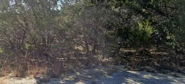 20505 Greeley Cv, Lago Vista, TX 78645 - #1