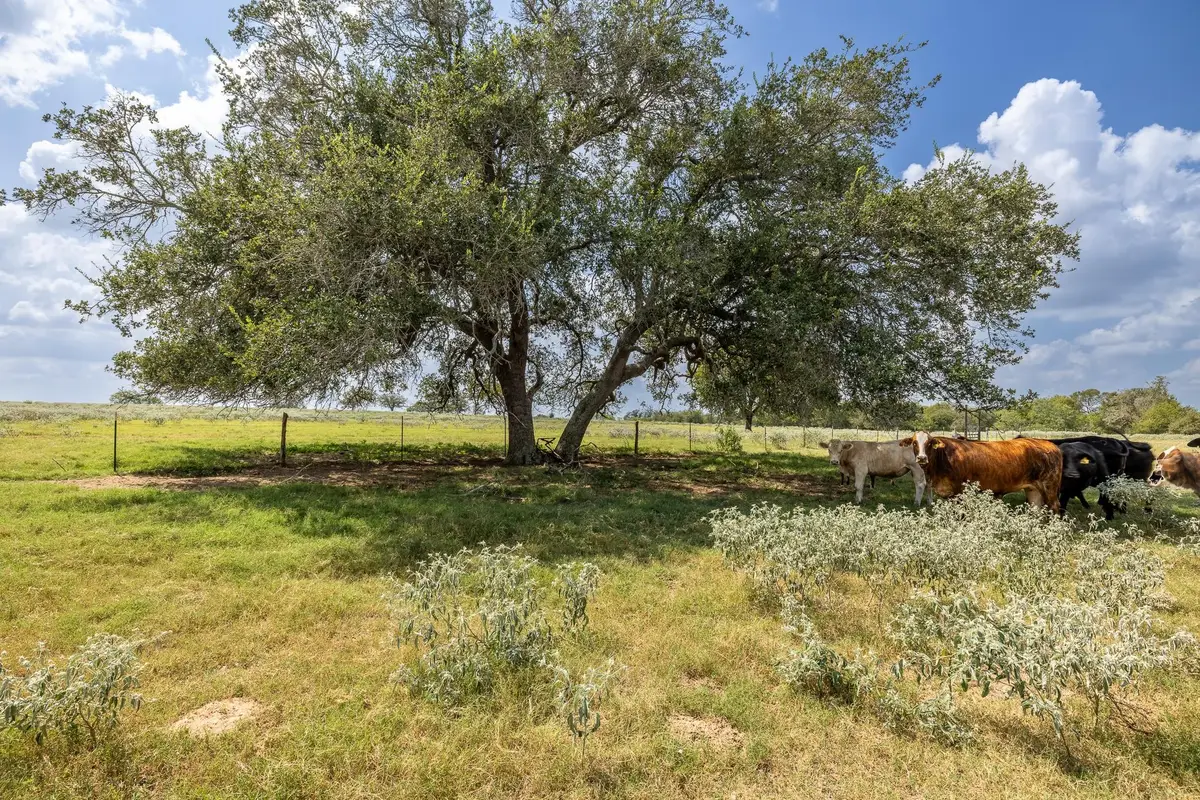 4725 Fm 532 E, Gonzales, TX 78629 - Image #1