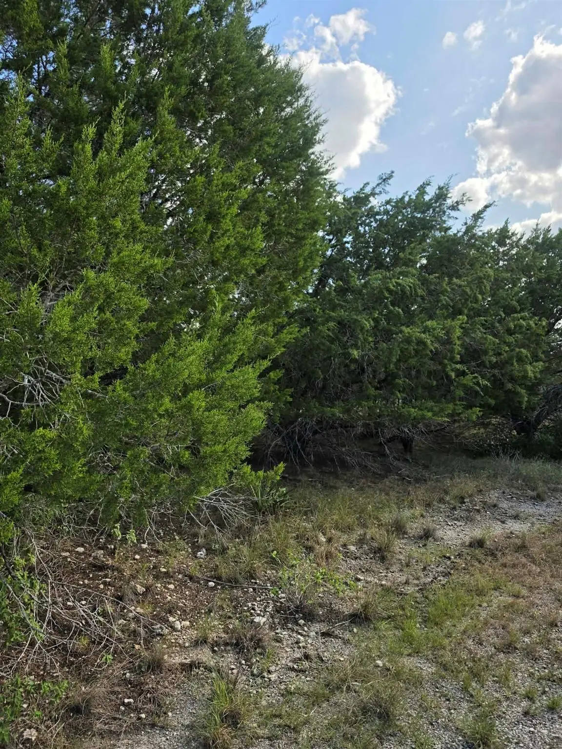 21301 Santa Marta Cv, Leander, TX 78645 - #1