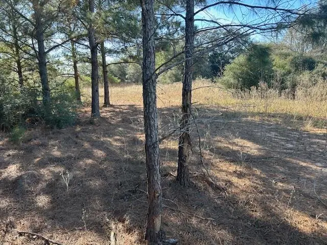 TBD Fm 141, Dime Box, TX 77853 - #3