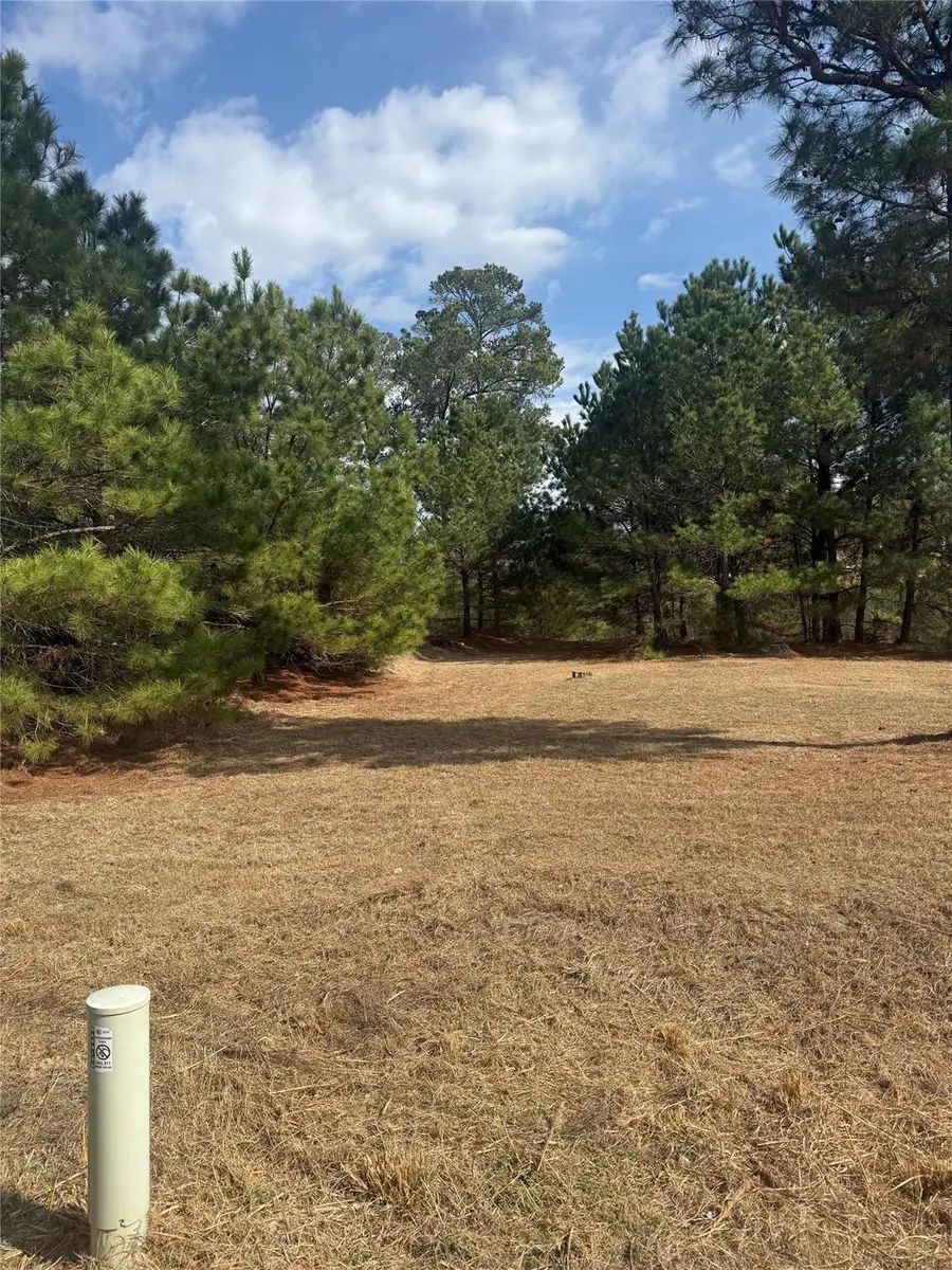 123 Koali Dr, Bastrop, TX 78602 - #2