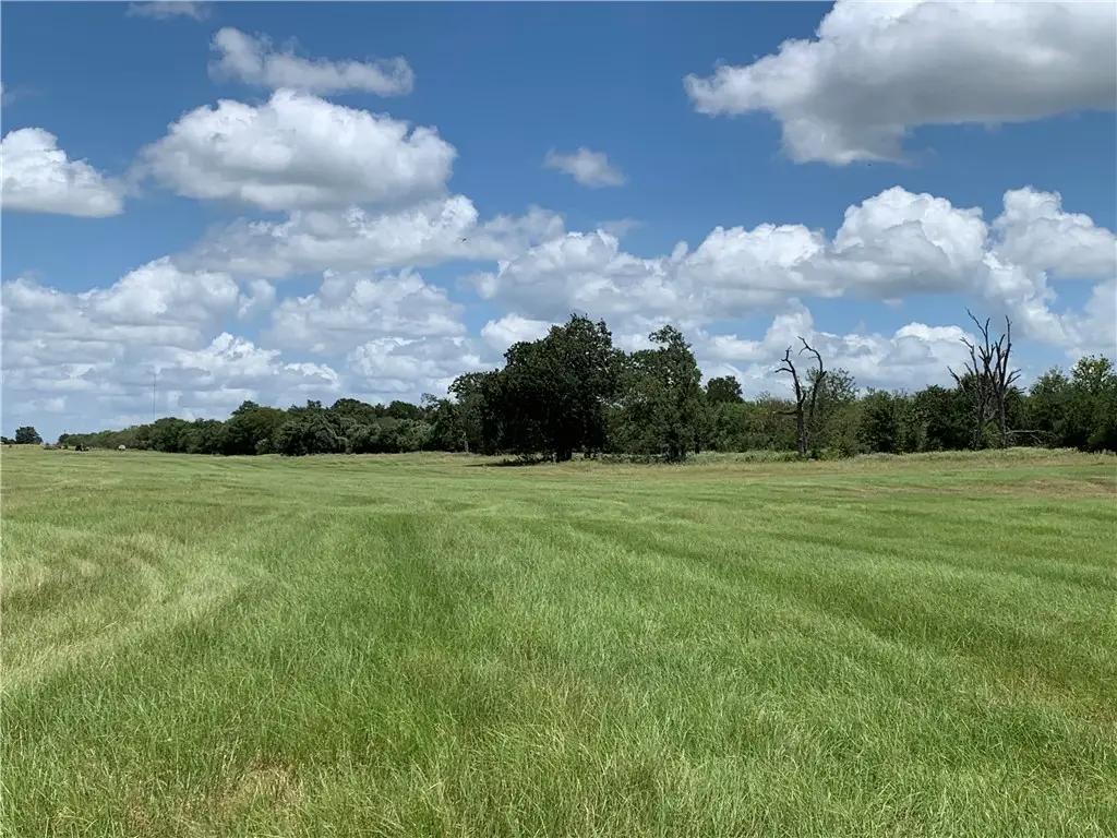 300 Casen St, Dale, TX 78616 - Image #1