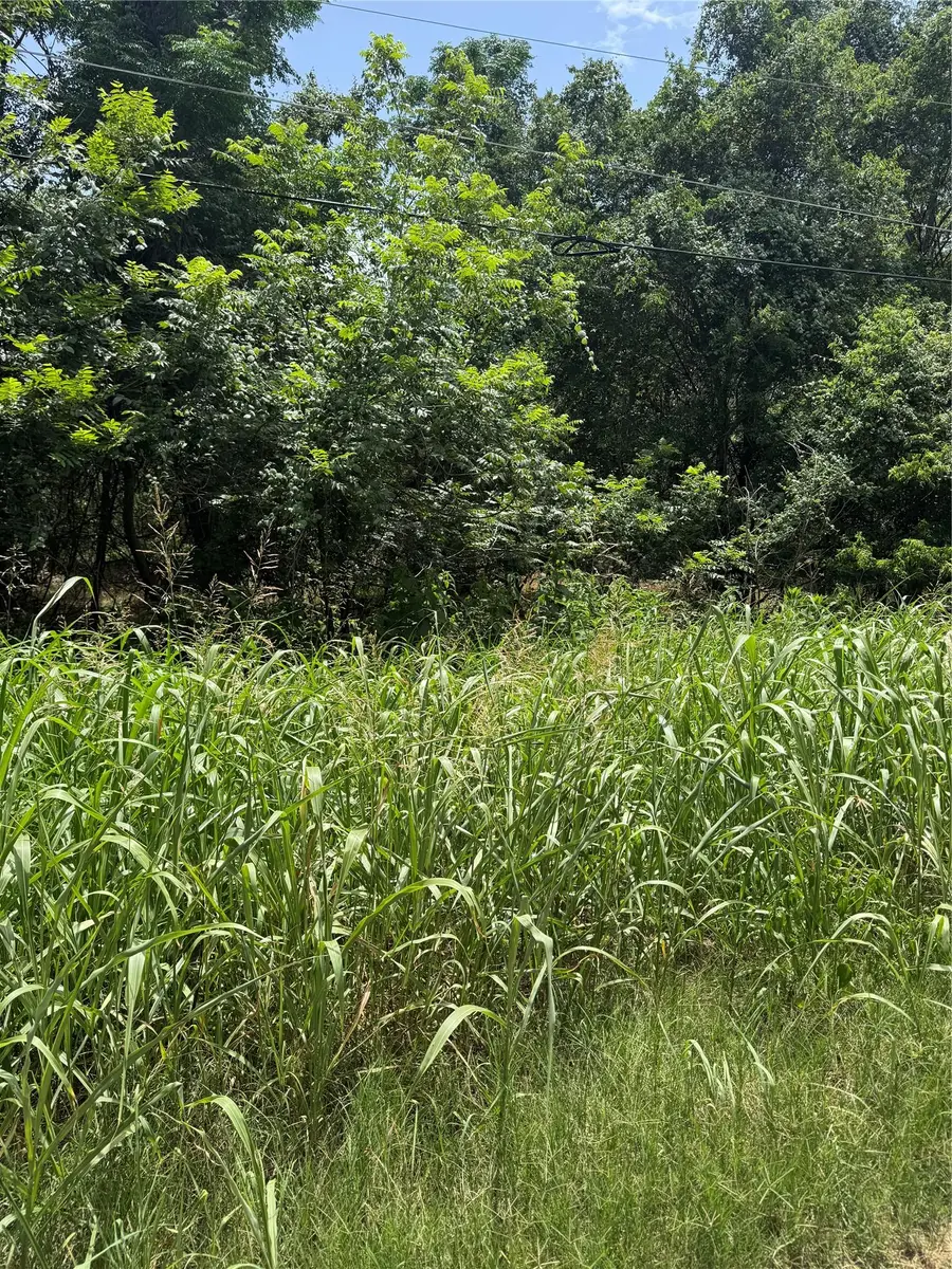 Lot 908 Kahana Ln, Bastrop, TX 78602 - Image #2