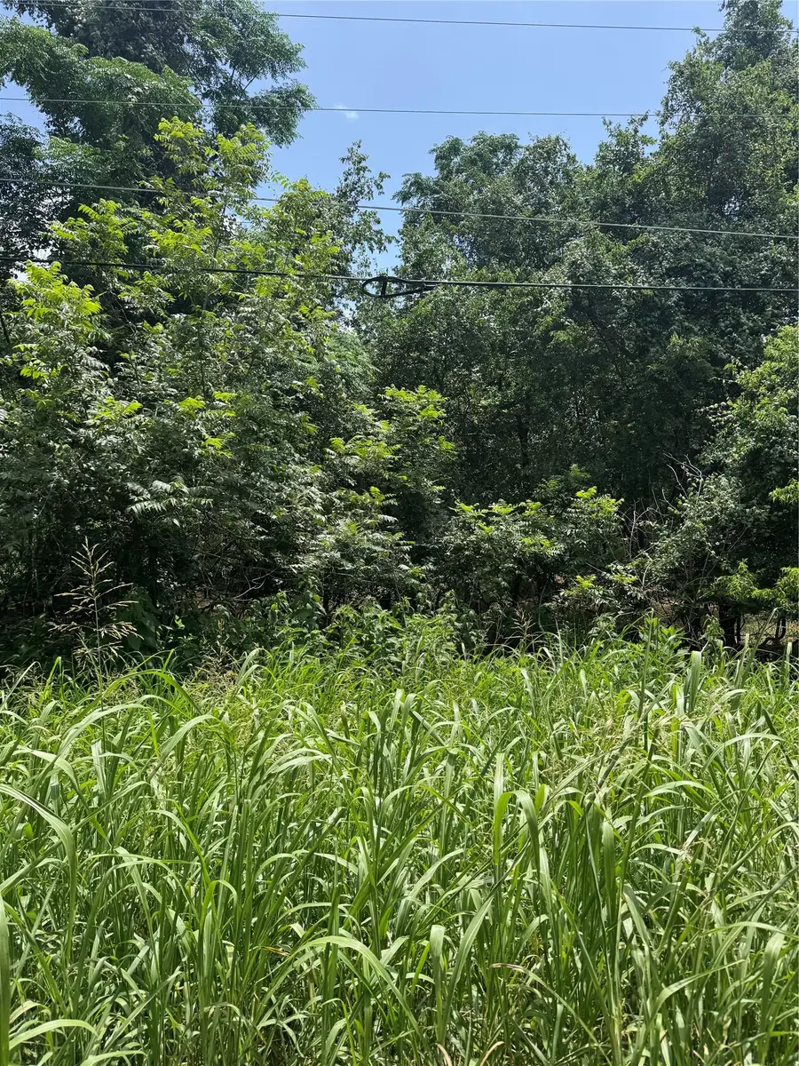 Lot 908 Kahana Ln, Bastrop, TX 78602 - Image #3