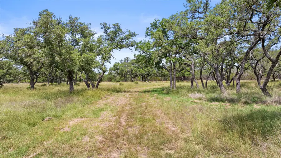 997 Sandy Oaks Ranch Rd, Johnson City, TX 78636 - Image #2