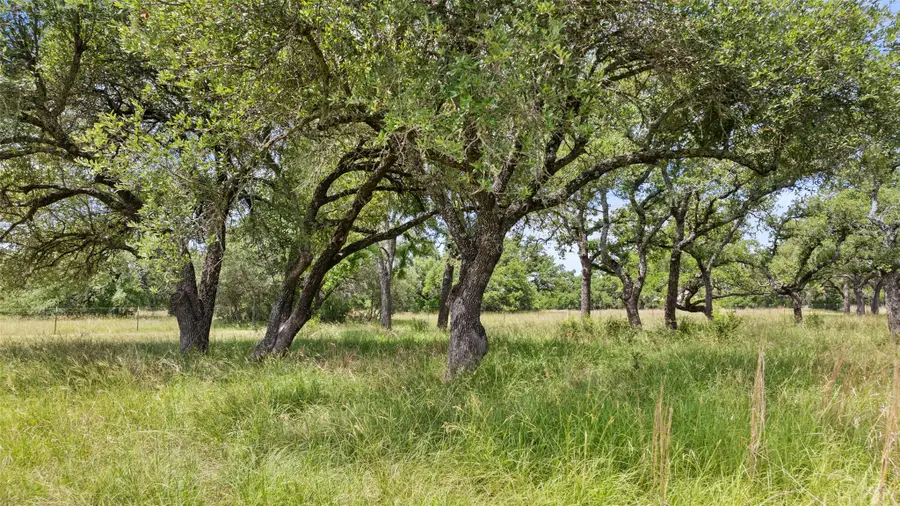 997 Sandy Oaks Ranch Rd, Johnson City, TX 78636 - Image #3