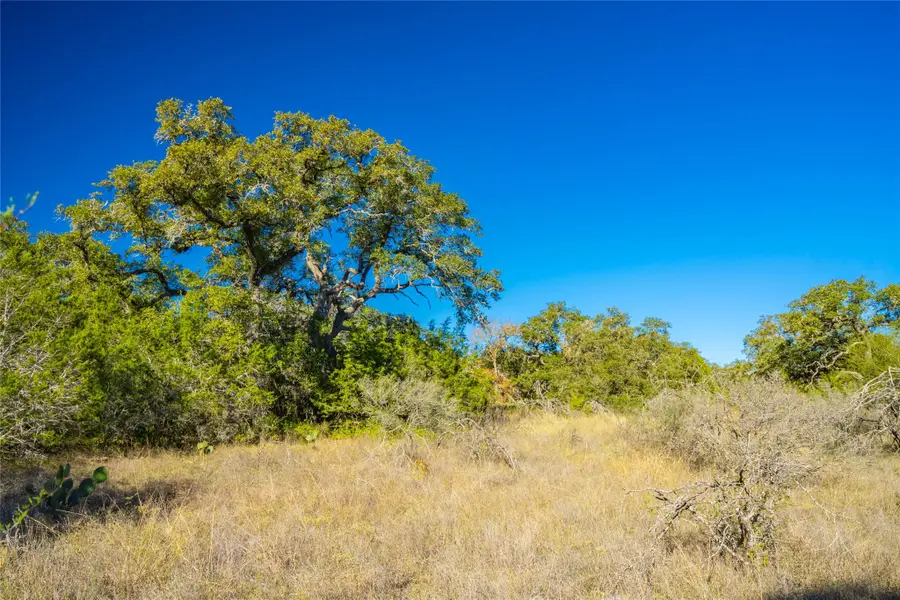 00 Quail Run Dr, San Marcos, TX 78666 - #3