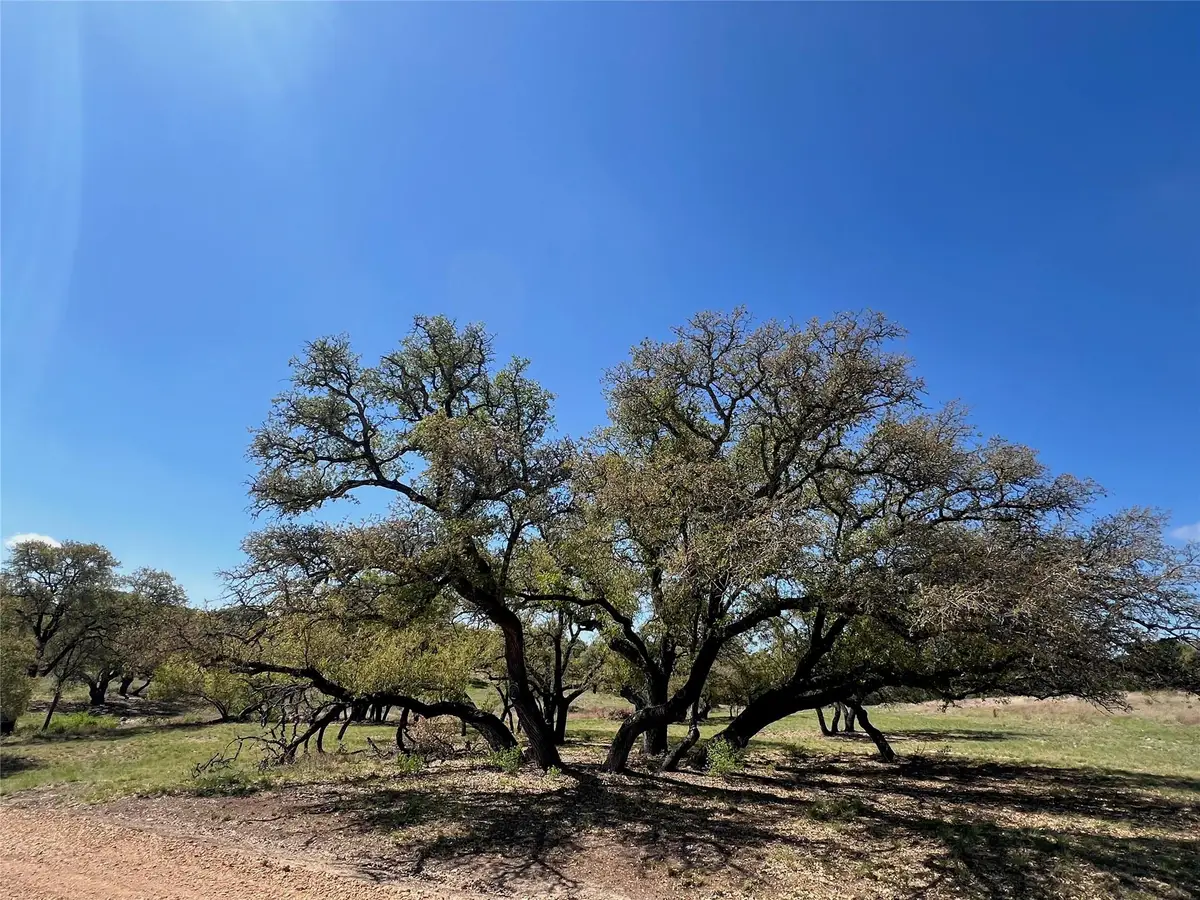 1 Barlow Dr, Briggs, TX 78608 - #1