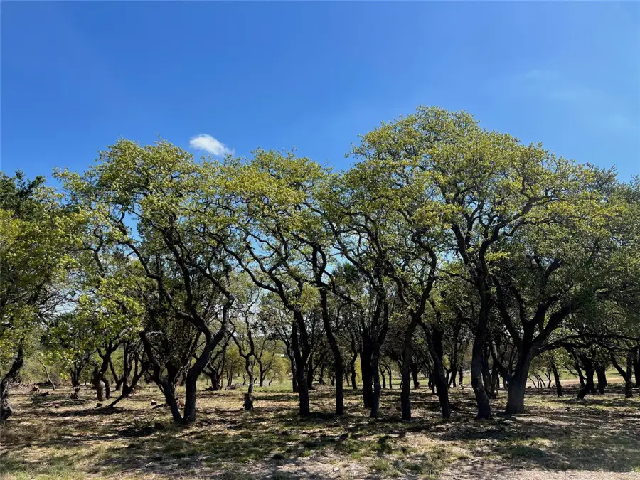 1 Barlow Dr, Briggs, TX 78608 - #2