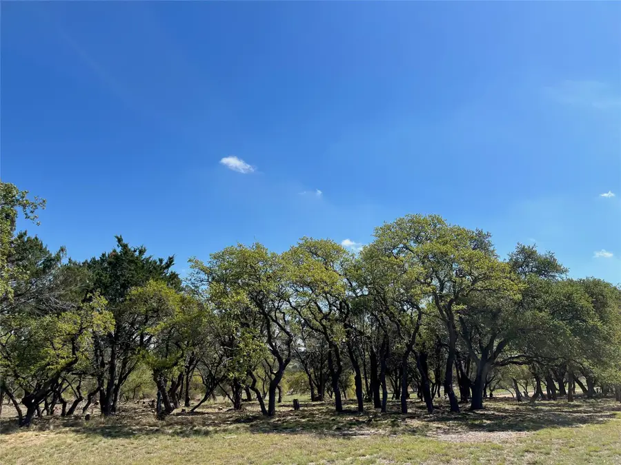 1 Barlow Dr, Briggs, TX 78608 - #3