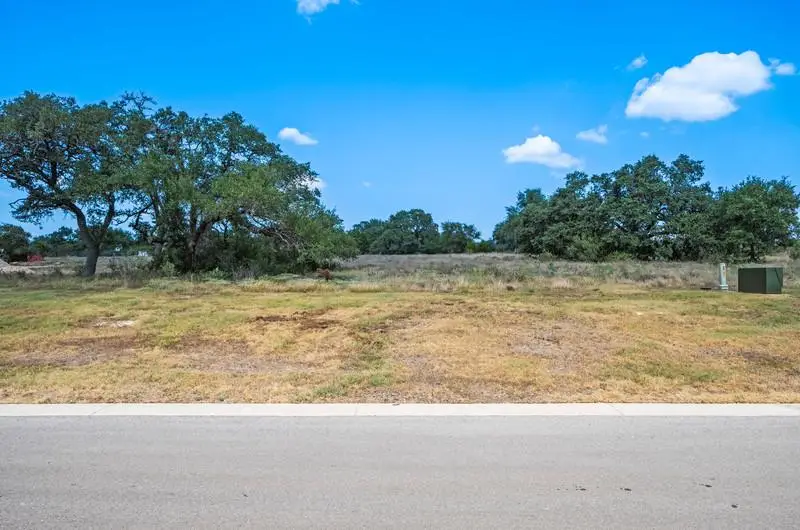 252 Berrywood Ln, New Braunfels, TX 78132 - #2