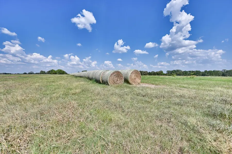 TBD Farm To Market Road 60, Caldwell, TX 77836 - Image #3