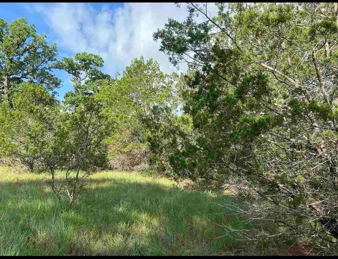 K10041 Bald Eagle, Horseshoe Bay, TX 78657 - Image #1