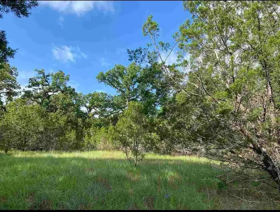 K10041 Bald Eagle, Horseshoe Bay, TX 78657 - Image #3